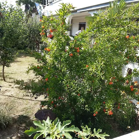Ana - 1 Bedroom, Garden, Near The Beach Apartment Porec